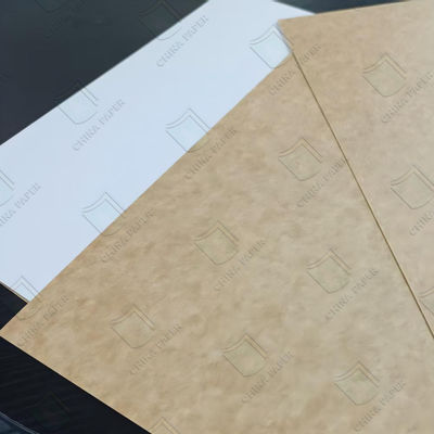 Carton dos enduit qualité alimentaire CKB résistant à l'humidité 600x900mm 700x1000mm