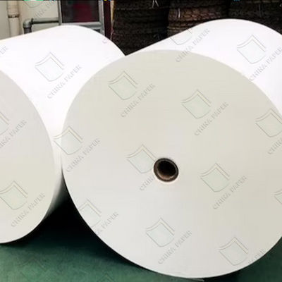 qualité Papeterie en papier pe recouverte de tasse sur mesure en feuilles en rouleaux pour l'emballage alimentaire usine